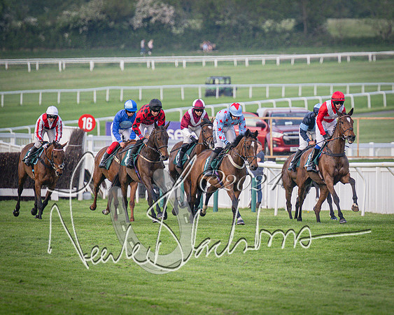Race 5 - Mares Open Hunter Steeplechase 3m2f 70y (67 of 269)