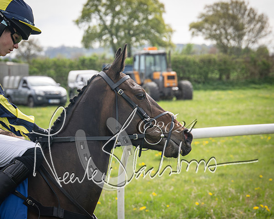Pony Race 2 (27 of 84)-