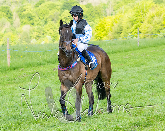 Race 5  - Maiden race 2m5F Div-2 (120 of 205)
