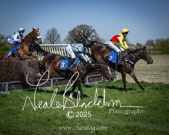 Race 2 - The Maiden (58 of 118)