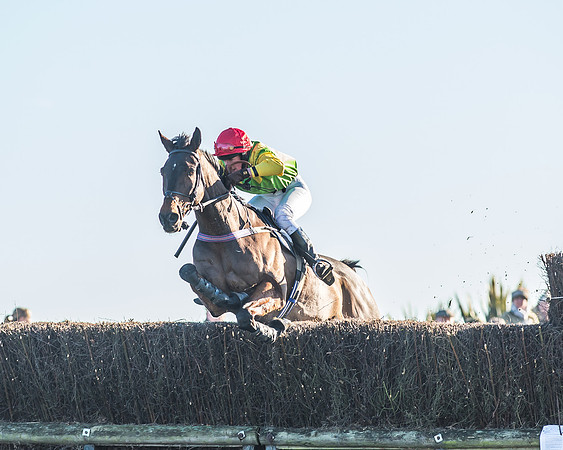Race 1 - PPORA Novice Riders Race-50