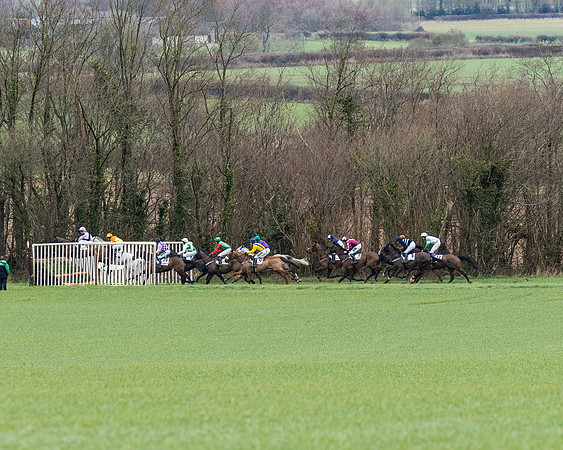 Race 1 (21 of 81)