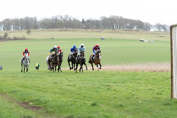 Race 3  (7 of 61)