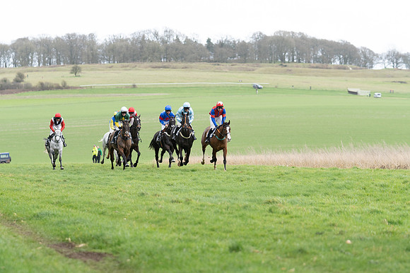 Race 3  (8 of 61)