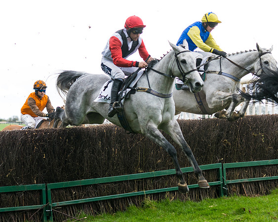 Race 3  (18 of 61)