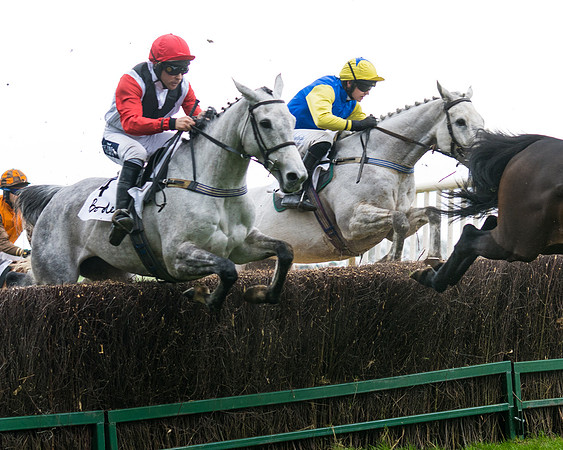 Race 3  (22 of 61)