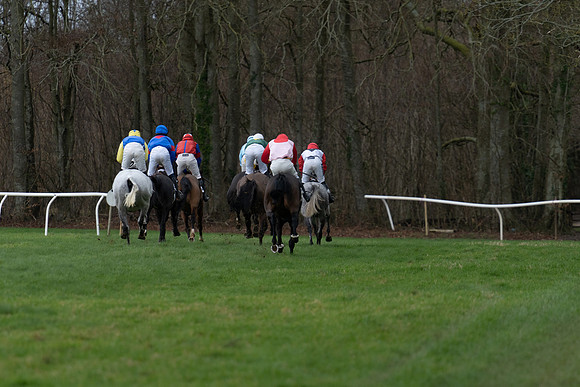 Race 3  (50 of 61)