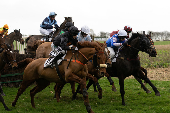 Race 4  (16 of 89)