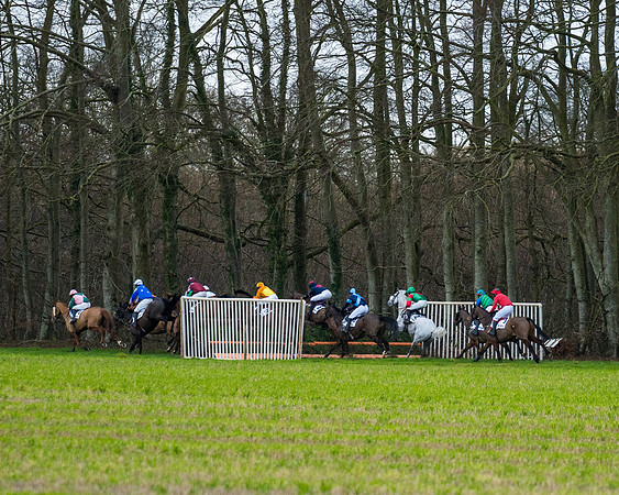 Race 4  (32 of 89)