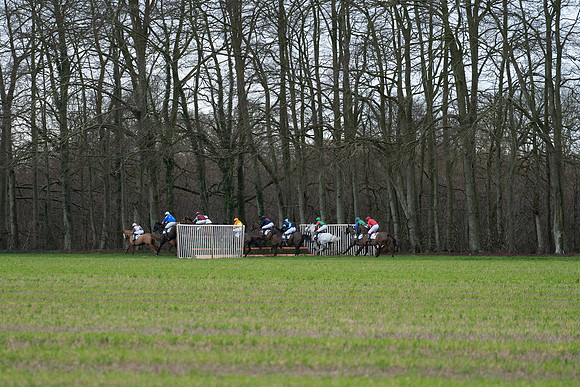 Race 4  (34 of 89)