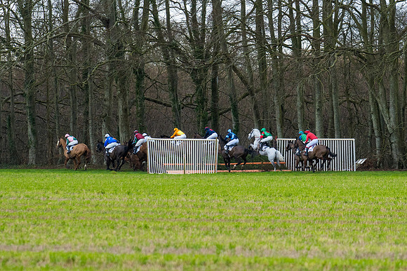 Race 4  (35 of 89)