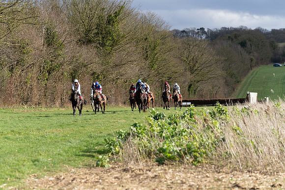 Race 5  (9 of 77)
