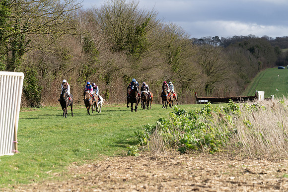 Race 5  (10 of 77)