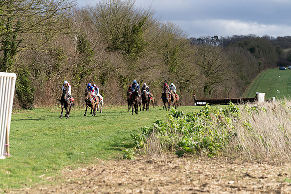 Race 5  (12 of 77)