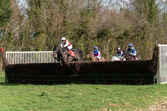Race 5  (13 of 77)