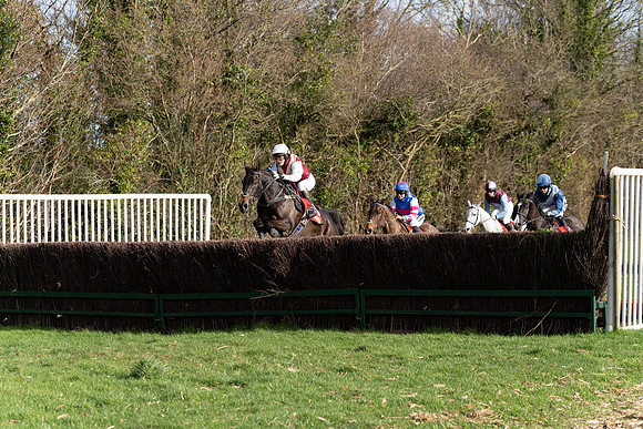 Race 5  (16 of 77)