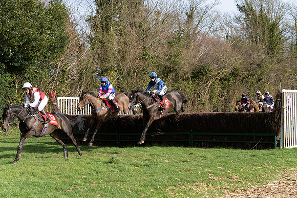 Race 5  (19 of 77)