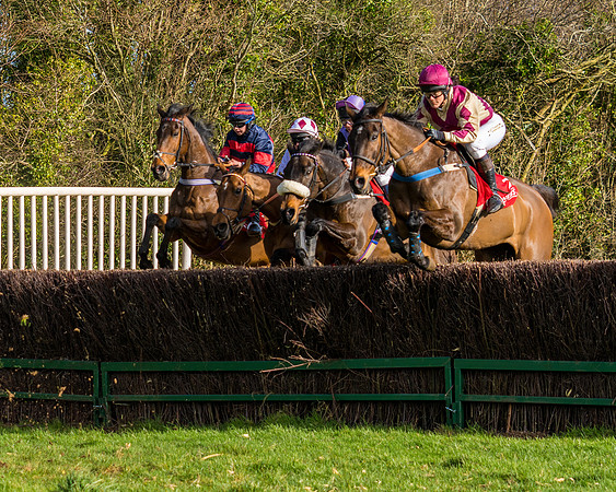Race 5  (22 of 77)