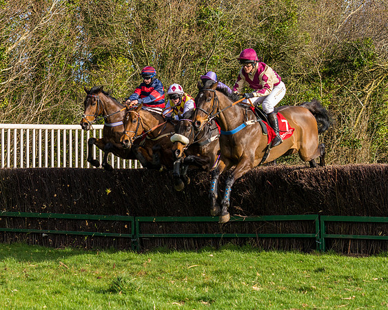 Race 5  (23 of 77)