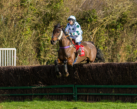 Race 5  (24 of 77)