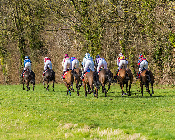 Race 5  (31 of 77)