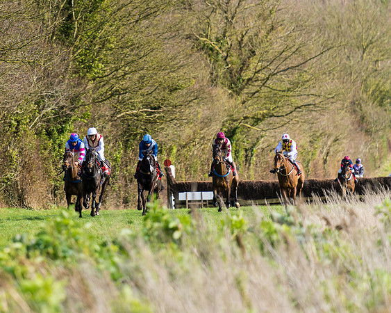Race 5  (40 of 77)