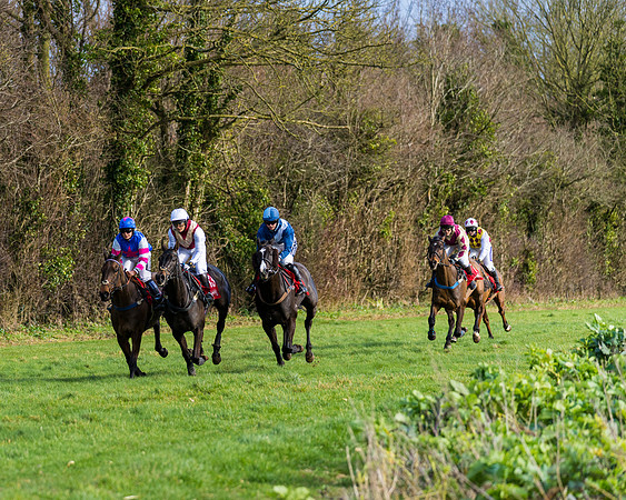 Race 5  (44 of 77)