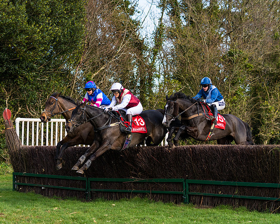 Race 5  (46 of 77)