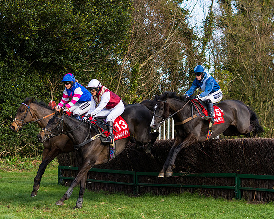 Race 5  (47 of 77)