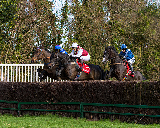 Race 5  (48 of 77)