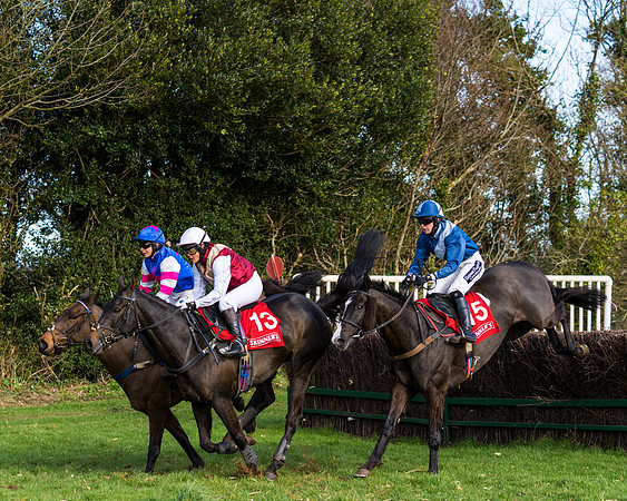 Race 5  (51 of 77)