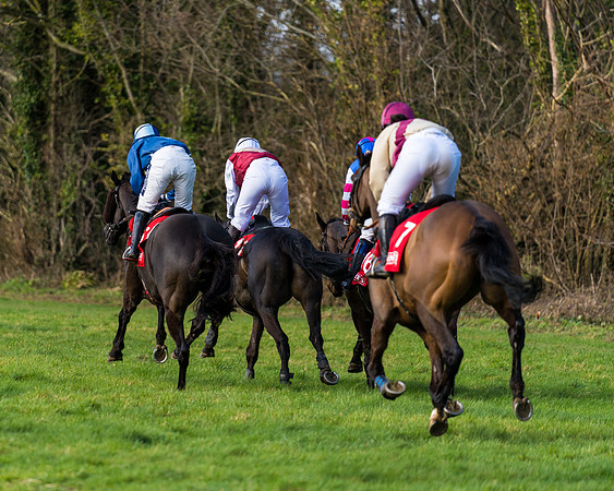 Race 5  (55 of 77)