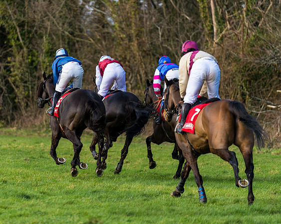 Race 5  (56 of 77)
