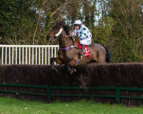 Race 5  (60 of 77)