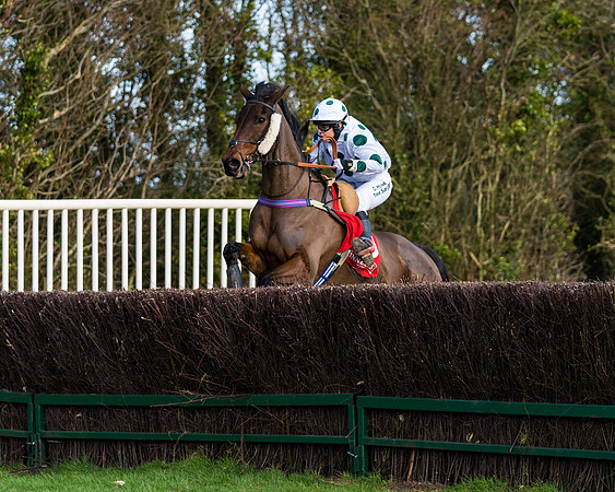 Race 5  (62 of 77)