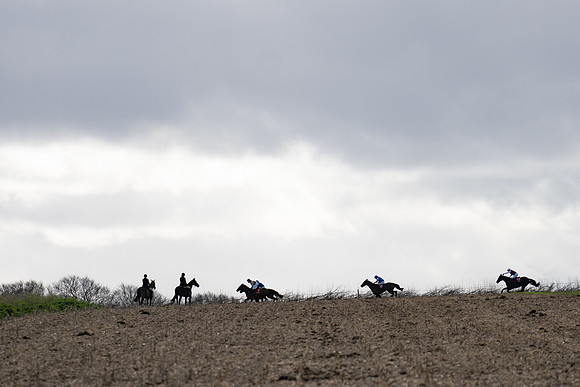 Race 5  (70 of 77)