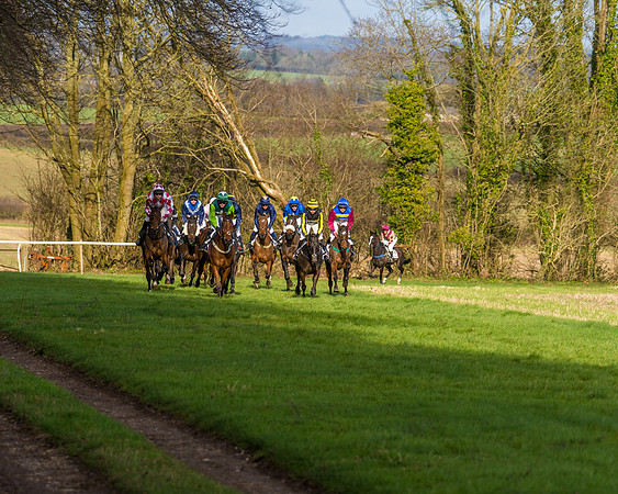 Race 6  (23 of 102)