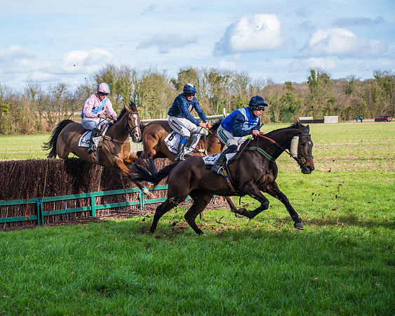 Race 6  (48 of 102)