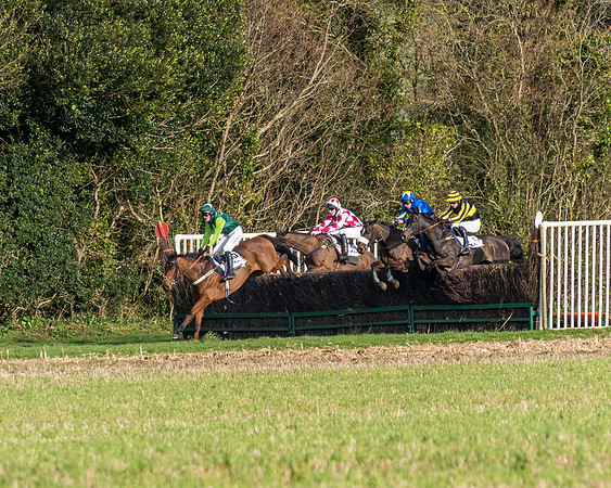 Race 6  (66 of 102)