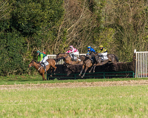 Race 6  (68 of 102)