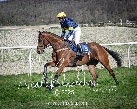 Race 5 - The restricted (28 of 113)