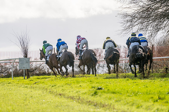 Race 6  (95 of 102)