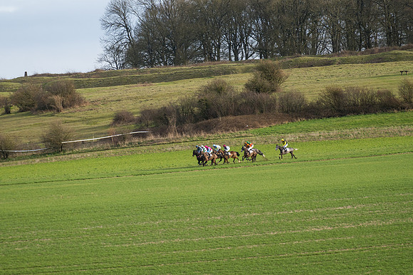 Race 7  (4 of 97)