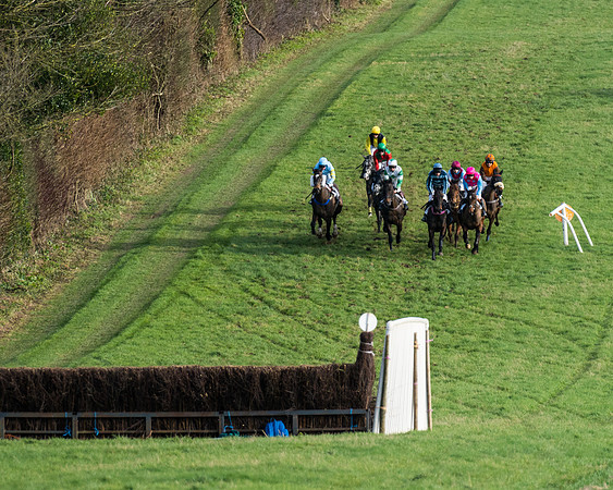 Race 7  (7 of 97)