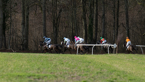 Race 7  (81 of 97)