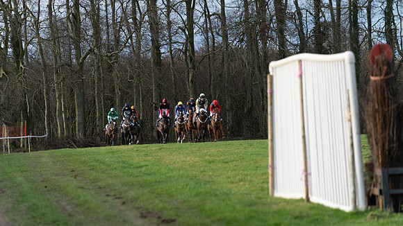 Race 8  (3 of 36)