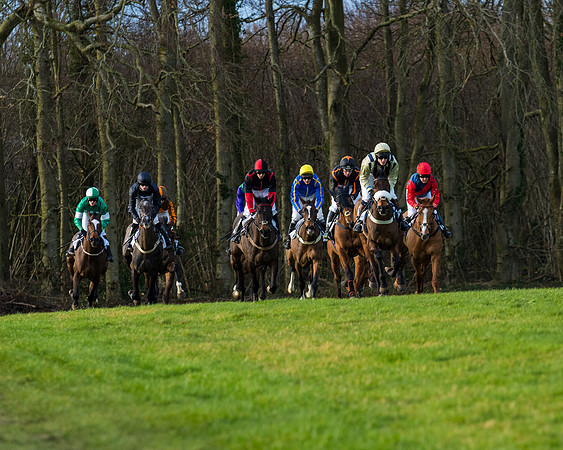 Race 8  (4 of 36)
