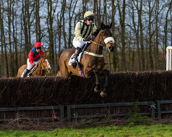 Race 8  (5 of 36)-3