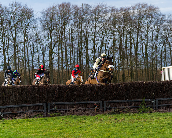 Race 8  (6 of 36)