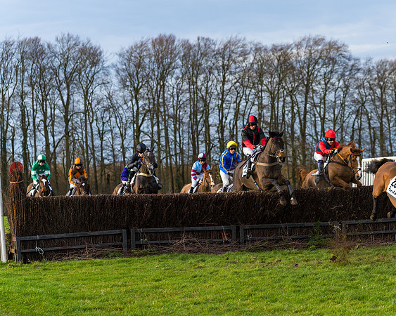 Race 8  (7 of 36)